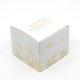 Cube Feuillage Assortiment de Chocolats Mason Guinguet Artisan Chocolatier 100g